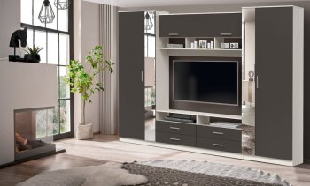 ШМЦ Вена  91.01 с зеркалом в Артёмовске - mebel154.com