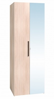 Шкаф для одежды 2-х дверный 8 Bauhaus в Артёмовске - mebel154.com
