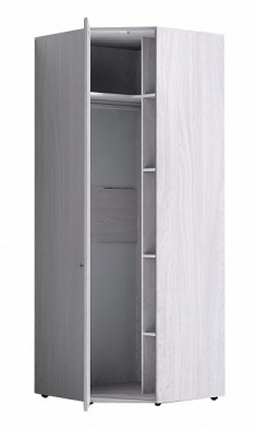 Шкаф для одежды угловой 56-2 Paola в Артёмовске - mebel154.com