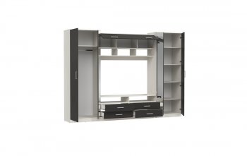 ШМЦ Вена  91.01 с зеркалом в Артёмовске - mebel154.com